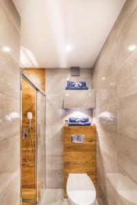 a bathroom with a toilet and a shower at Apartament Dominika in Jurata