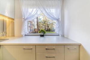 a kitchen with a window with a potted plant at Apartament Dominika in Jurata
