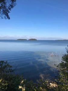 Φωτογραφία από το άλμπουμ του Marina Niedźwiedzi Róg σε Ruciane-Nida +26 φωτογραφίες