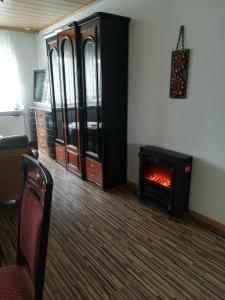 a living room with a fireplace in a room at Ländliche Erholung 1 in Heideland