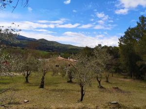 un campo con árboles y una casa a lo lejos en MAS TARRÈS, en Madremanya