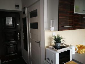 Kuchnia lub aneks kuchenny w obiekcie Center Warsaw- Apartamenty Smolna
