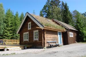 a small log cabin with a grass roof at Lillstugan in Torestorp