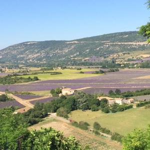 una vista de un campo cultivado con una montaña en el fondo en LA MAISON D’ALICE en Sault-de-Vaucluse