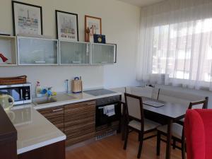 A kitchen or kitchenette at Apartman 0204 Donovaly
