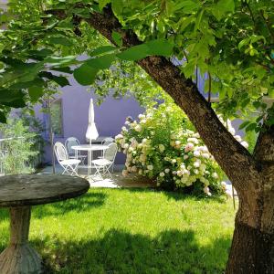 a garden with a table and chairs and a tree at La Culla di Bacco in Castagnole Monferrato