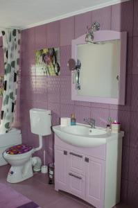 une salle de bains rose avec lavabo et toilettes. dans l'établissement Pensiunea Aly, à Bumbesti Pitic 20 autres photos