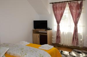 une chambre avec un lit, une télévision et une fenêtre dans l'établissement Pensiunea Aly, à Bumbesti Pitic