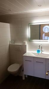 ヴェルドゥムにあるFerienhaus Sonnenschein Heykenのトイレ、洗面台、鏡のあるバスルーム