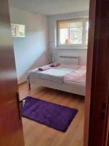 een slaapkamer met een bed met een raam en een paars tapijt bij APARTAMENT POD DZIEWIĄTKĄ in Sandomierz