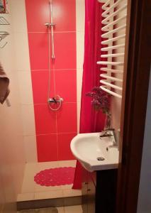 een badkamer met een rode douche en een wastafel bij APARTAMENT POD DZIEWIĄTKĄ in Sandomierz