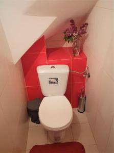 een badkamer met een toilet en rode muren bij APARTAMENT POD DZIEWIĄTKĄ in Sandomierz