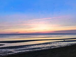 un grupo de aves volando sobre el océano al atardecer en 4 person holiday home in Oure, en Oure