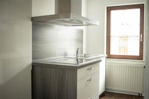 eine Küche mit Spüle und Fenster in der Unterkunft Ferienwohnung Am Schlosspark in Ebersdorf