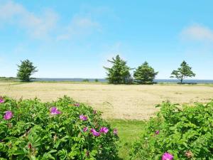 a field with pink flowers and a field with trees at 8 person holiday home in Hemmet in Hemmet