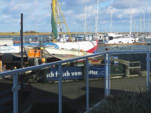 a group of boats docked at a marina at 4 person holiday home in Wendtorf in Wendtorf
