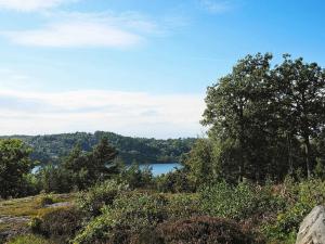 uma vista para um lago a partir de uma colina com árvores em 5 person holiday home in LJUNGSKILE em Ljungskile