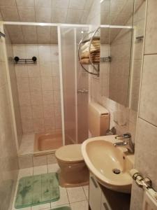 マトライ・イン・オストティロルにあるHaus Rainerのバスルーム(トイレ、洗面台、シャワー付)