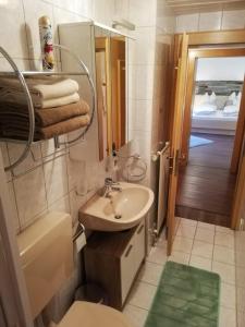 La salle de bains est pourvue d'un lavabo, de toilettes et d'un miroir. dans l'établissement Haus Rainer, à Matrei in Osttirol