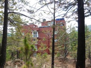 Afbeelding uit fotogalerij van HOTEL GOLD in El Oro de Hidalgo