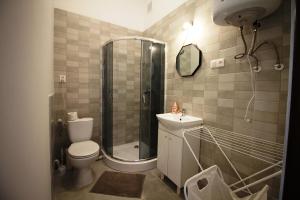 a bathroom with a shower and a toilet and a sink at Ali 2 in Sosnowiec