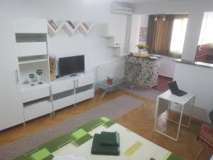 TV a/nebo společenská místnost v ubytování Calea Victoriei Residence