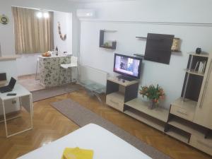 TV a/nebo společenská místnost v ubytování Calea Victoriei Residence