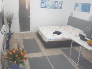 Postel nebo postele na pokoji v ubytování Calea Victoriei Residence