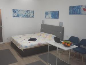 Postel nebo postele na pokoji v ubytování Calea Victoriei Residence