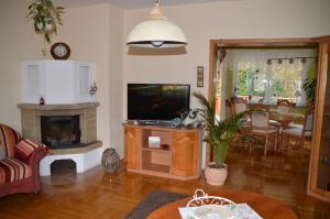 ein Wohnzimmer mit einem TV und einem Kamin in der Unterkunft Ferienhaus Linde am Bleßberg in Schirnrod