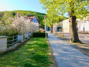 eine Kopfsteinpflasterstraße in einer Stadt mit einem Baum in der Unterkunft Pension Kurhausblick in Bad Suderode