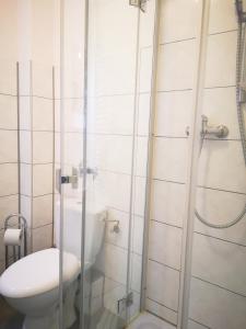 een badkamer met een toilet en een glazen douche bij Bernkasteler Moselapartments in Bernkastel-Kues