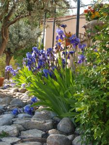 Gallery image of jardin d'antan in Ansouis