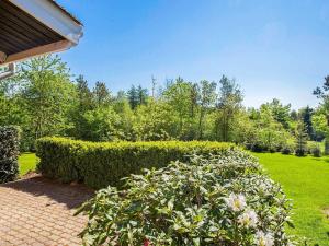 a hedge in front of a yard with a garden at 6 person holiday home in Fars in Farsø