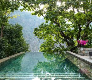 リシケーシュにあるTaj Rishikesh Resort & Spa Uttarakhandの木々の茂る森の中のスイミングプール