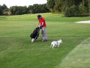 a man and a dog on a golf course at Saint-Sauveur Hideaway in Saint-Michel-de-la-Pierre