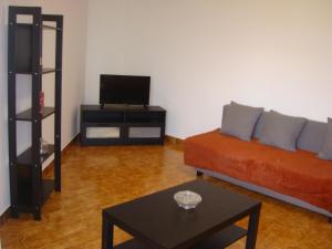 a living room with a couch and a tv at 2Bed 15km Lisbon - Wifi, Ac, Parking in Arsena