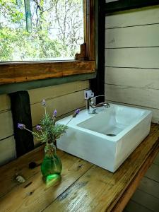 uma casa de banho com um lavatório e um vaso com flores em Octogono Om Shanti em Villa Serrana