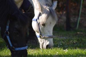 Φωτογραφία από το άλμπουμ του Ferienwohnung Süderfeld σε Brake +123 φωτογραφίες
