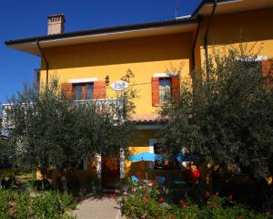 Zahrada ubytování B&B Mariposa