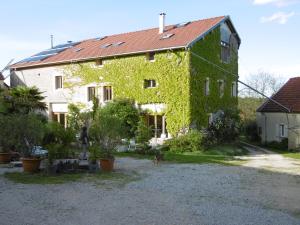 a building covered in ivy with a dog in front of it at La grange in Grancey-le-Château