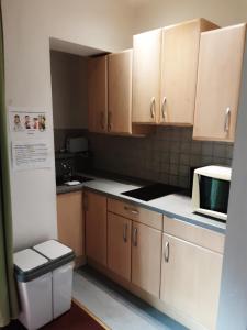 Kuchyňa alebo kuchynka v ubytovaní Apartment House Seerose