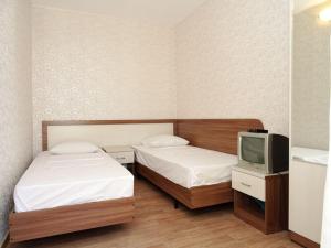 ヴィチャゼヴォにあるGuest house Otdyh u Mariiのベッド2台とテレビが備わる客室です。