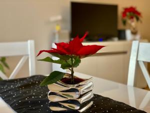 a red flower in a vase on a table at Apartament Rzeszow Hetmanska in Rzeszów