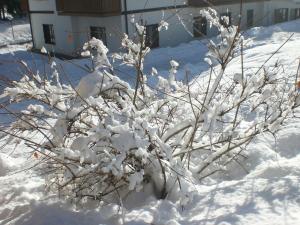Hotel Villa Ines during the winter