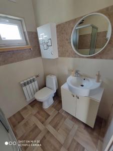 ein Badezimmer mit einem Waschbecken, einem WC und einem Spiegel in der Unterkunft Однокімнатна квартира-студія біля парку Шевченка in Iwano-Frankiwsk