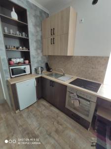 cocina pequeña con fregadero y fogones en Однокімнатна квартира-студія біля парку Шевченка, en Ivano-Frankivsk