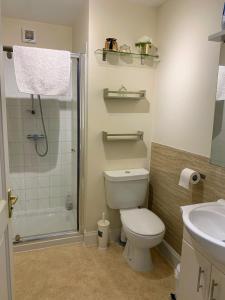 y baño con ducha, aseo y lavamanos. en Glentruim Homestay B&B, en Newtonmore