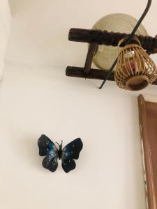 Fotografie z fotogalerie ubytování ZI' MARI' - Via Roma v destinaci Polignano a Mare