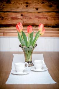 Gallery image of Wiedemanni Apartment in Haapsalu